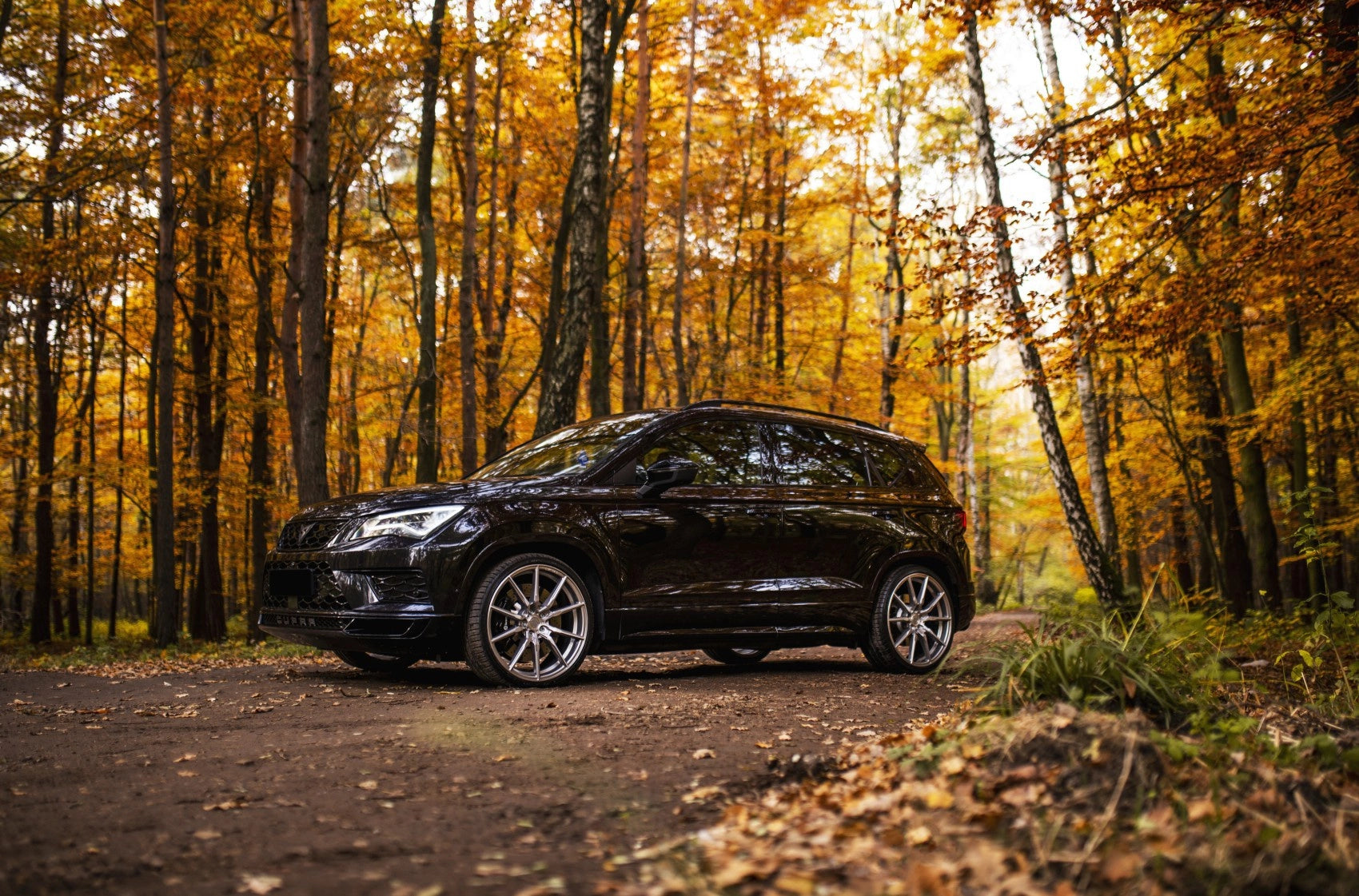 Cupra Ateca Concaver CVR4 Brushed Titanium 411 12007.webp