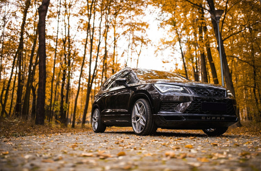 CupraConcaver CVR2 Brushed Titanium 447 12876.webp 4