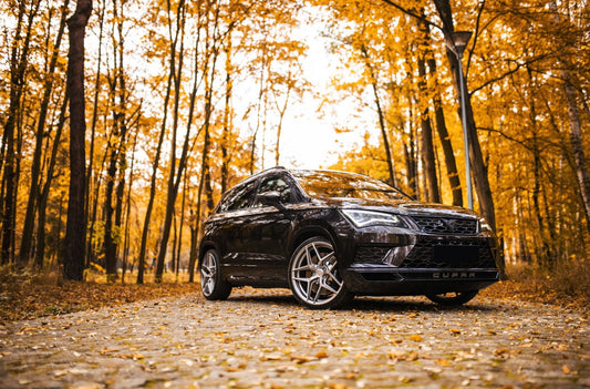 CupraConcaver CVR2 Brushed Titanium 447 255.webp 1