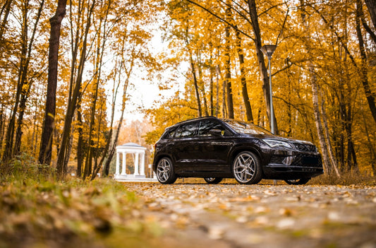 CupraConcaver CVR2 Brushed Titanium 447 4492.webp 6