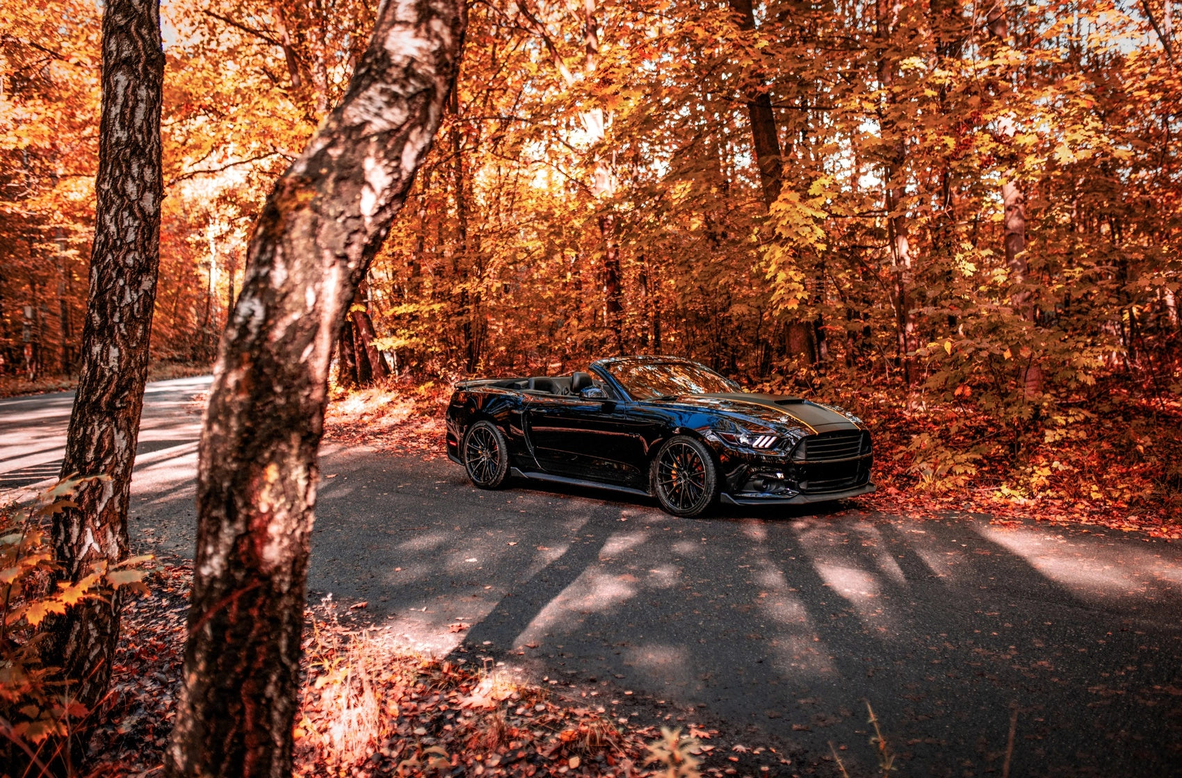 Ford Mustang Concaver CVR7 Double Tinted Black 1269 10091.webp