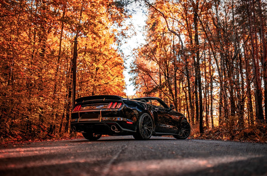 Ford Mustang Concaver CVR7 Double Tinted Black 1269 16273.webp 2