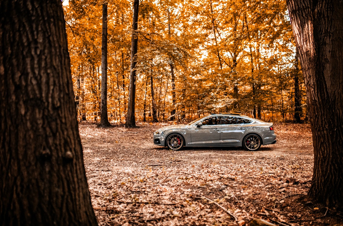 Alu kola Audi A5 S5 RS5 Japan Racing SL02 Matt Bronze